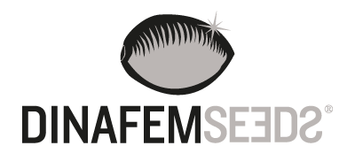 Dinafemseeds